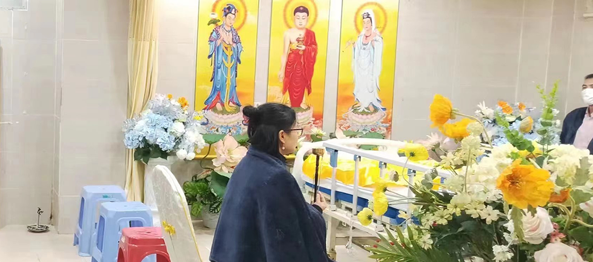 生命关怀网